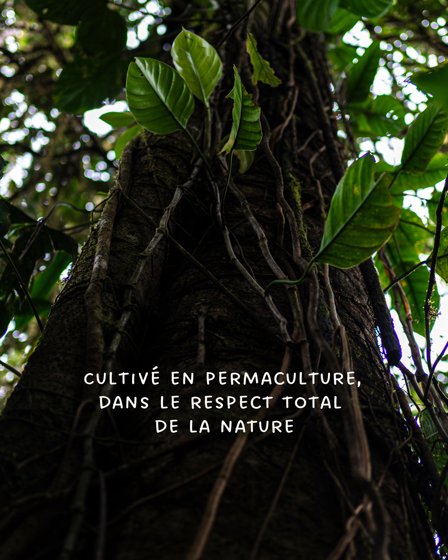BOÎTE DÉCOUVERTE - LATITUDE ZERO