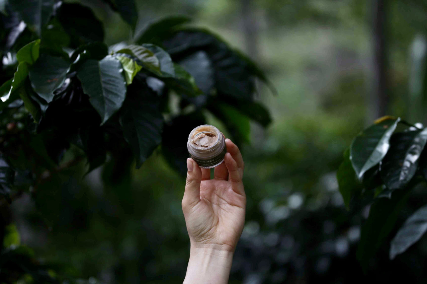 Crème pour les yeux à base de café