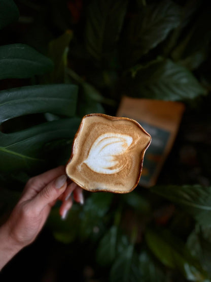 Fusion - collaboration